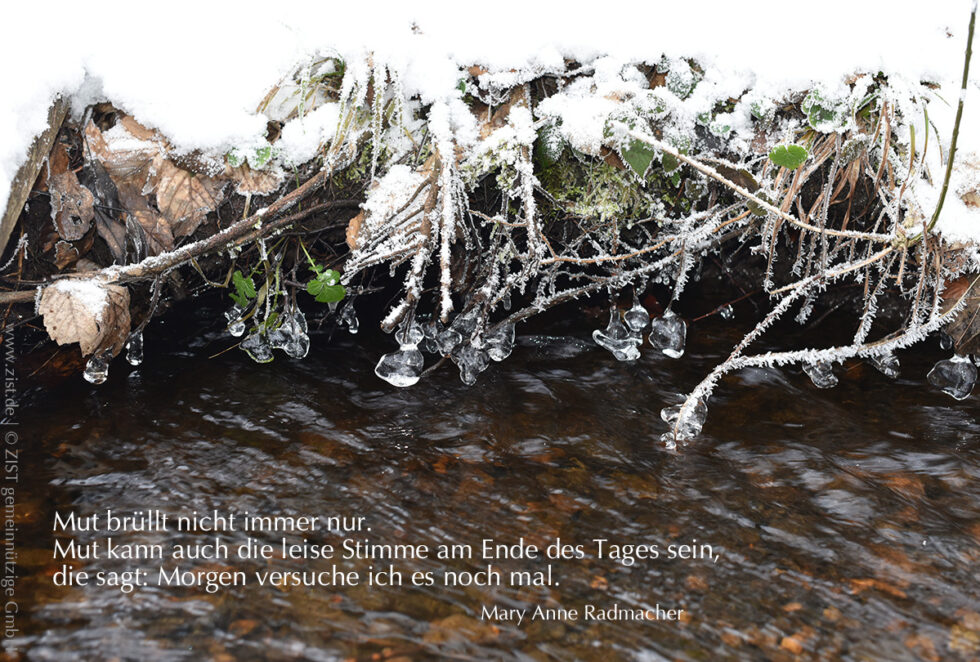 ZIST Zitate rund um Humanistische Psychologe Mut