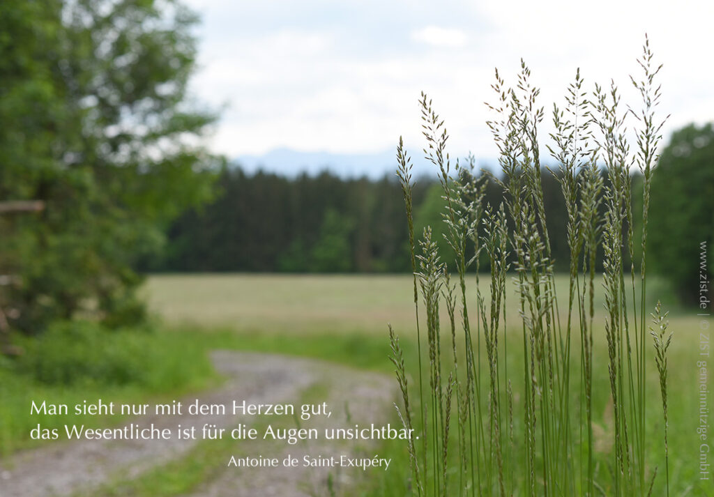 Herzen | Antoine de Saint-Exupéry