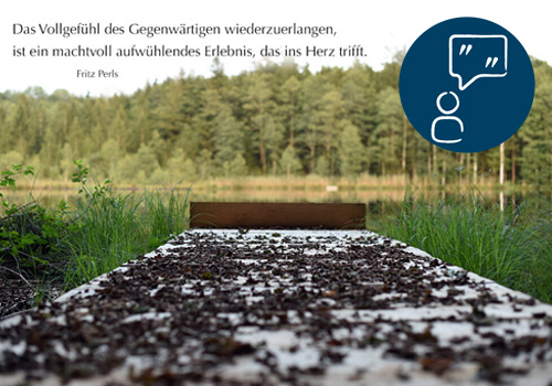 EIN MACHTVOLLES ERLEBNIS | Fritz Perls