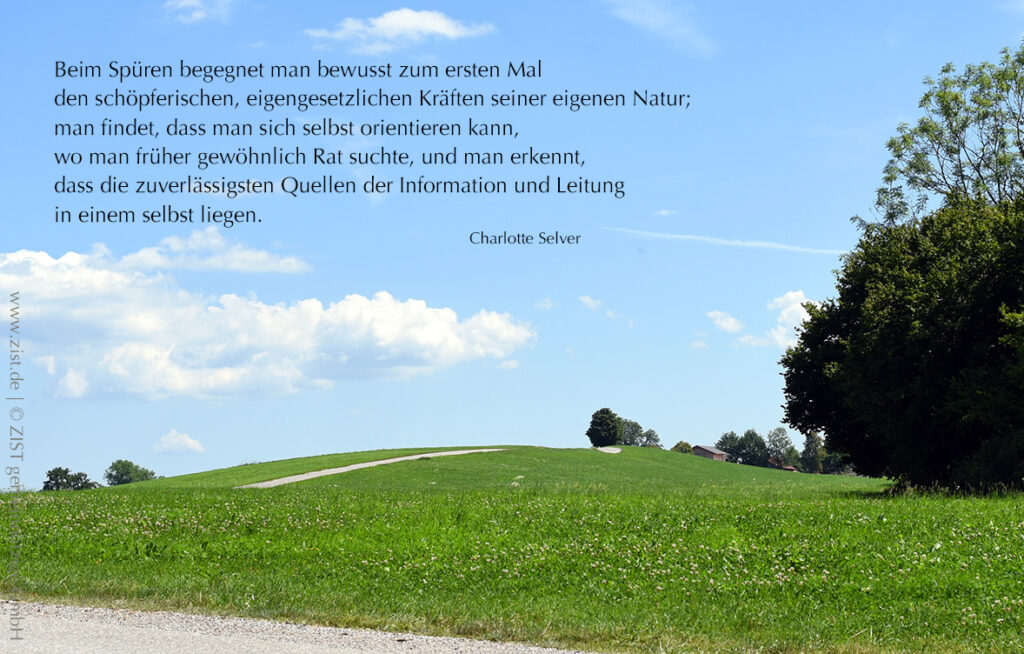 Blick über eine Landwiese mit Bäumen am rechten Rand, in den blauen Himmel mit einigen Wolken. Links oben ein Text in dunkler Schrift, ein Zitat von Charlotte Selver