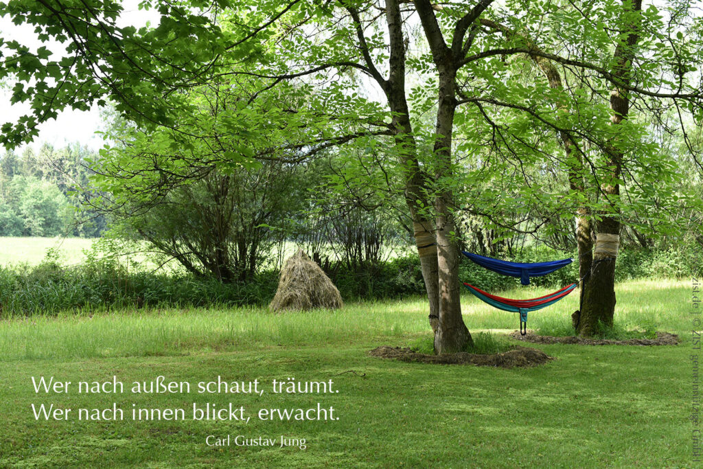 Erwachen - CG Jung