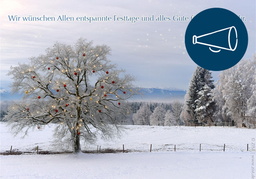 Frohe Weihnachten