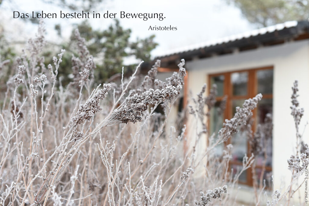 Bewegung, Aristoteles