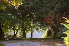 ZIST_Durchgang zum Bergblick