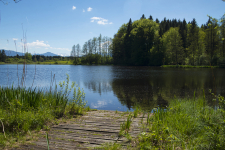 ZIST_Nahegelegener Weiher mit Bergblick vom Steg