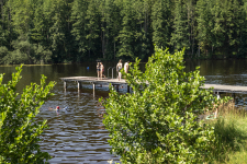 ZIST_Sommerfrische am Eitzenberger Weiher