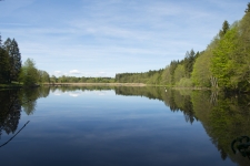 ZIST_ Eitzenberger Weiher_Badesee