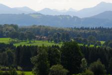 Oberland in der Umgebung von ZIST